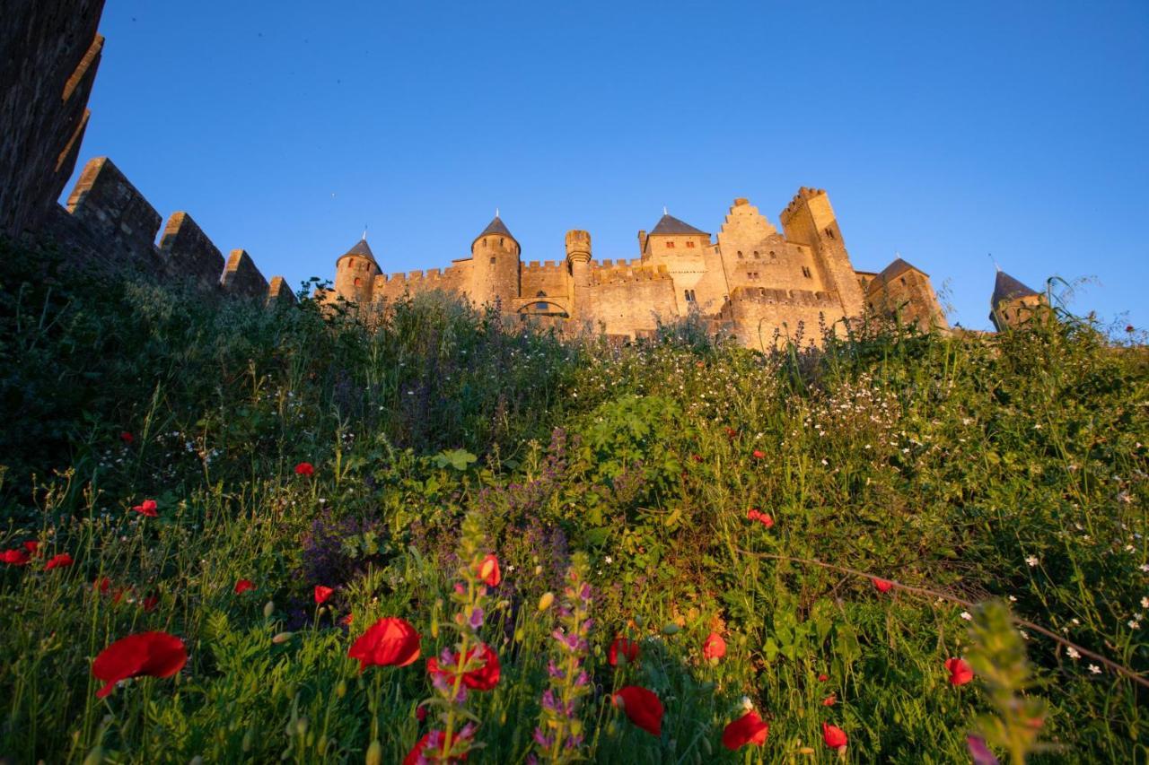 Tout Confort ! Climatisation, Centre-Ville, Parking, Terrasse, Wifi, Netflix Carcassonne Dış mekan fotoğraf