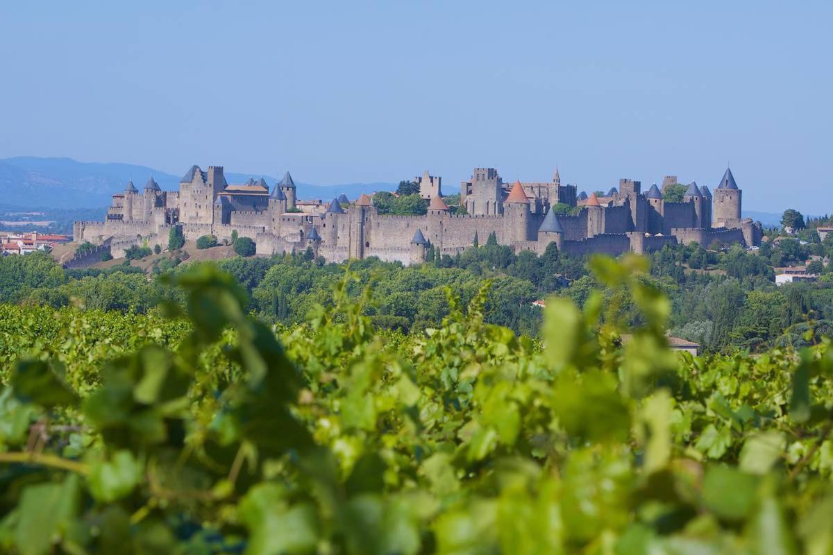 Tout Confort ! Climatisation, Centre-Ville, Parking, Terrasse, Wifi, Netflix Carcassonne Dış mekan fotoğraf