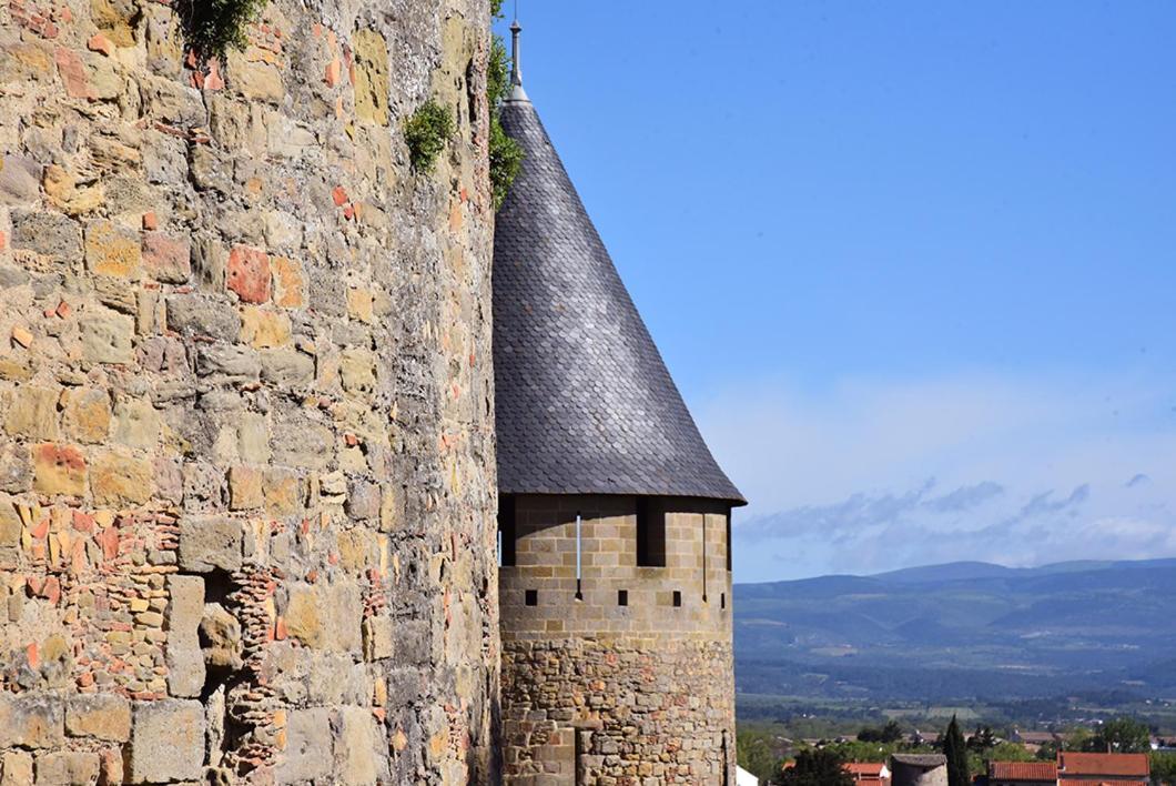 Tout Confort ! Climatisation, Centre-Ville, Parking, Terrasse, Wifi, Netflix Carcassonne Dış mekan fotoğraf